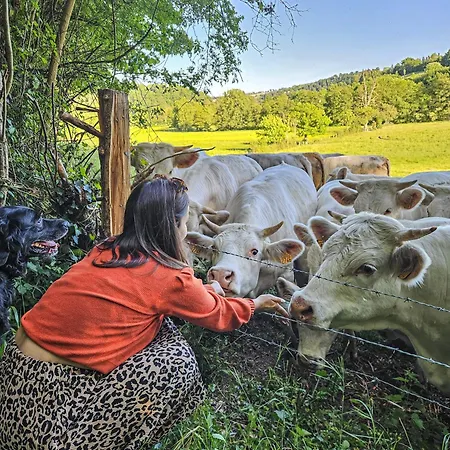 La Maison De Cecile Feriehus