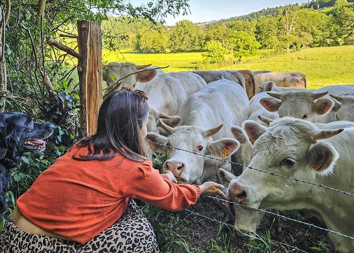 La Maison De Cecile Ferienhaus